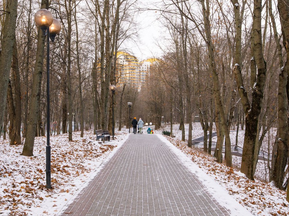 Точную дату прихода в Подмосковье метеорологической зимы предсказал синоптик Тишковец
