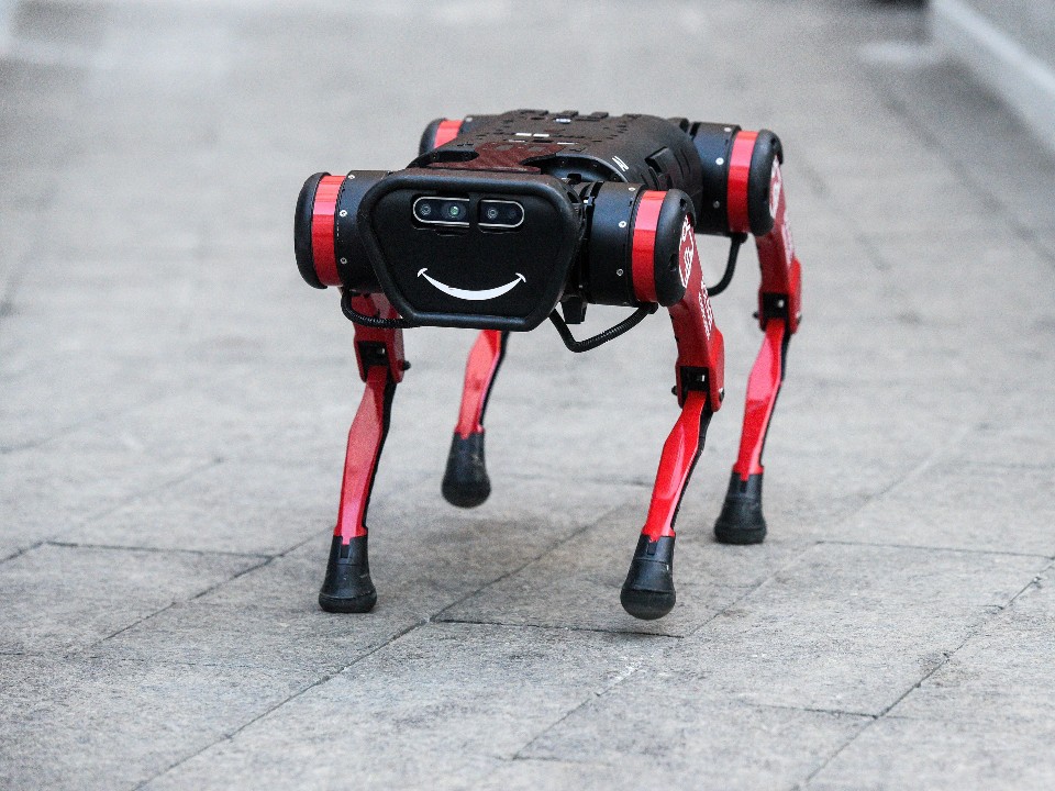 Щенячий патруль: робособаки будут следить за исправностью поездов