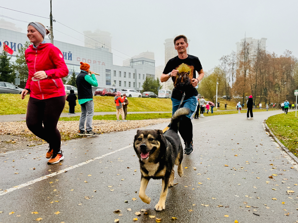 Улучшить выносливость жители могут на бесплатной тренировке по легкой атлетике в «Авангарде»