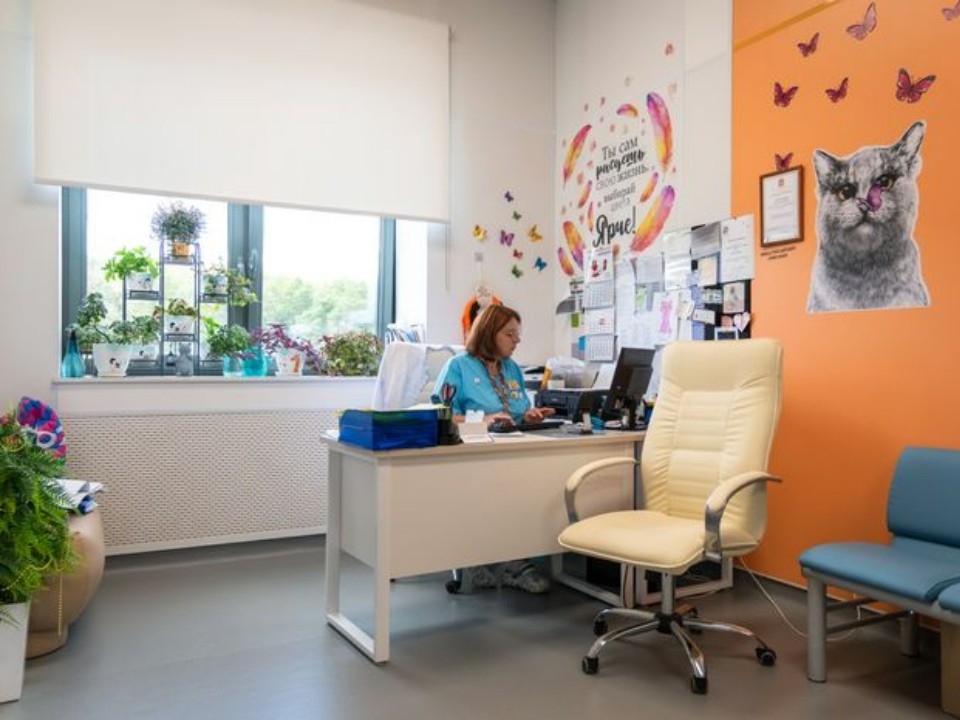 Стресс после взрыва: подмосковные медики окажут комплексную помощь школьнику из Красногорска