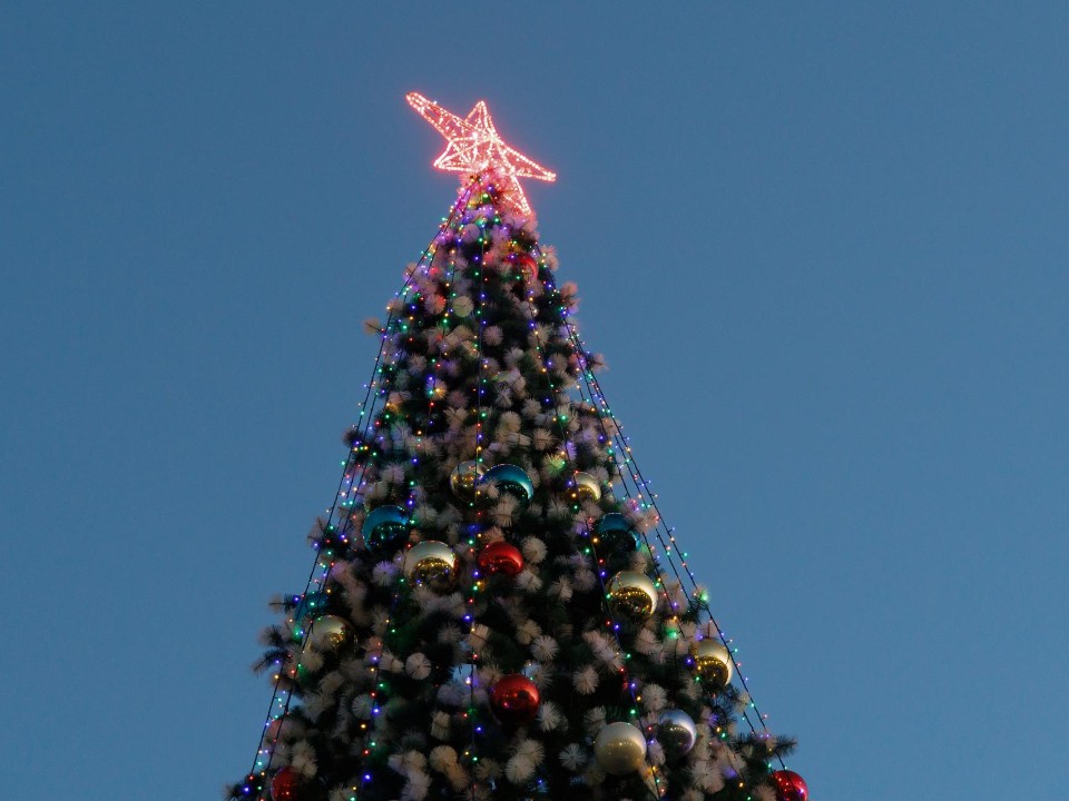 В Кашире-3 засияла первая новогодняя ель: как готовят город к праздникам