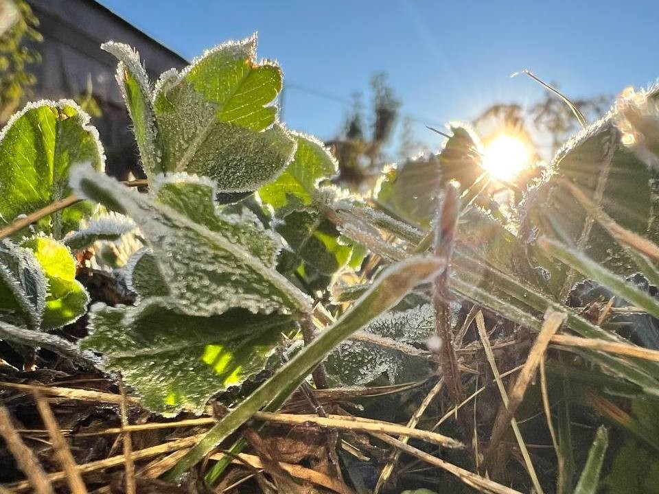 Синоптики сообщили, когда в Подмосковье придет зима