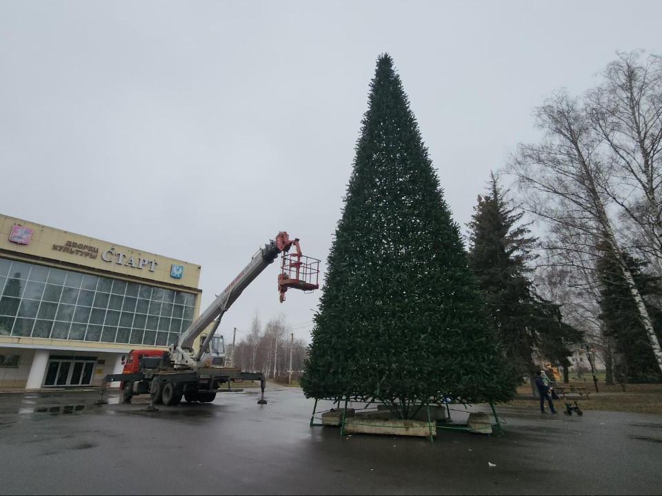 Волшебство начинается: в Луховицах установили 16‑метровую елку, которая скоро засияет во всей красе
