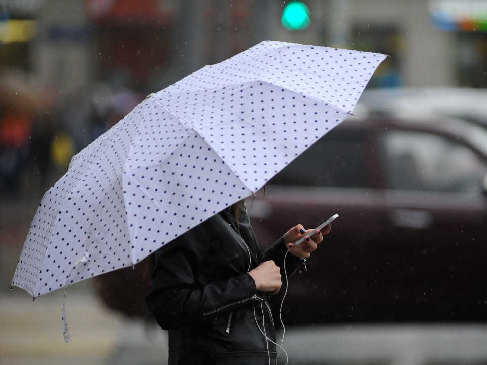 Дождь и до 10 градусов тепла ожидается во вторник