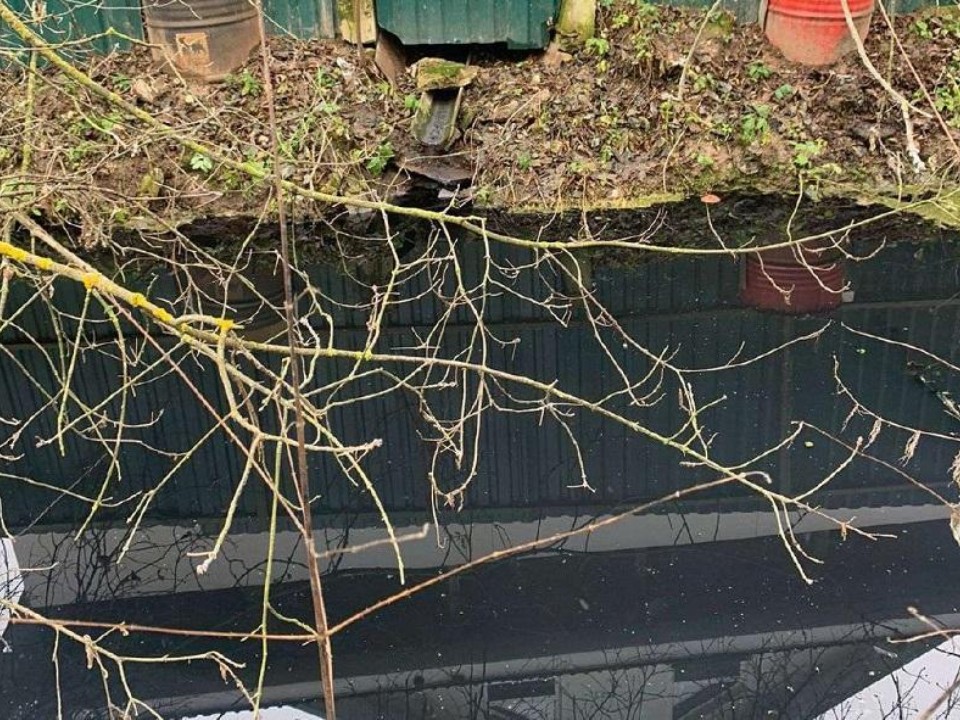 Жалоба жителей сработала: проверка в Волоколамском округе выявила незаконный отвод стоков в реку Искона