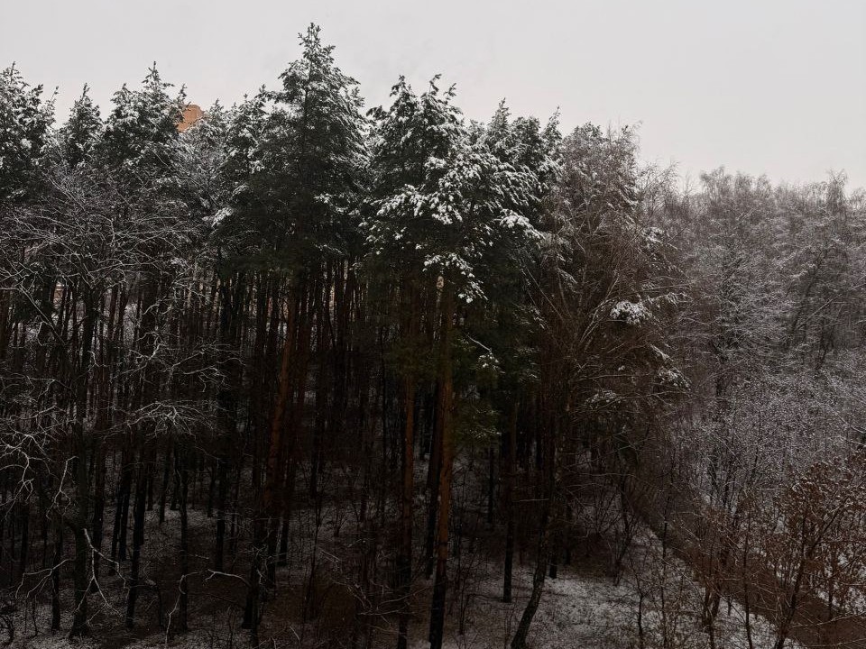 Зимний мороз накрыл Ленинский округ