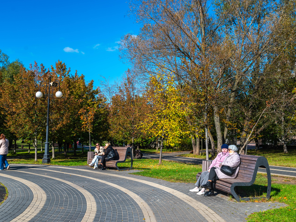 Реутовчане определят, каким будет Центральный парк