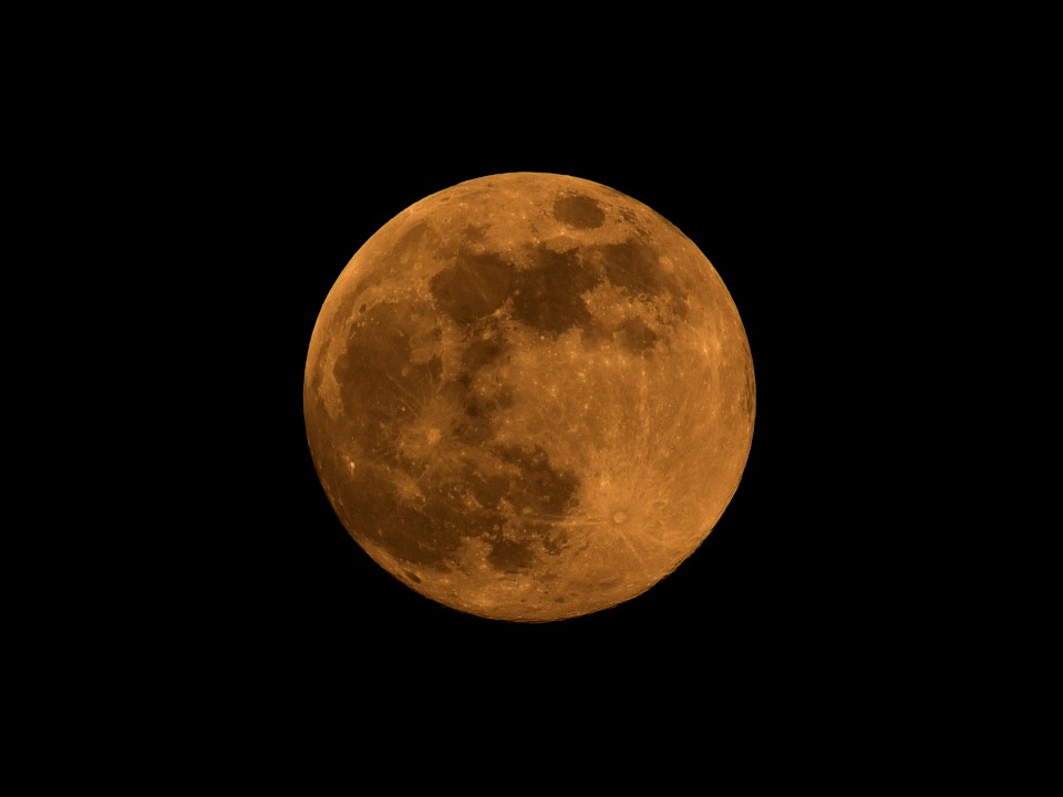 Жители Подмосковья вряд ли увидят «бобровое суперлуние» из-за пасмурной погоды