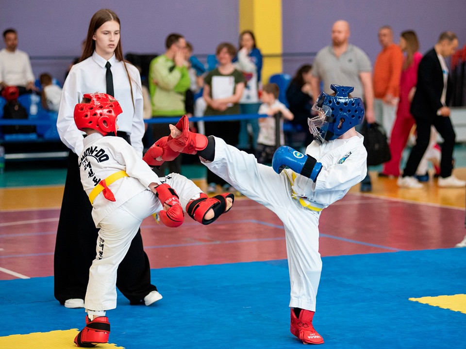Битва за Подмосковье: ступинский ФОК «Ока» примет областной чемпионат по хапкидо