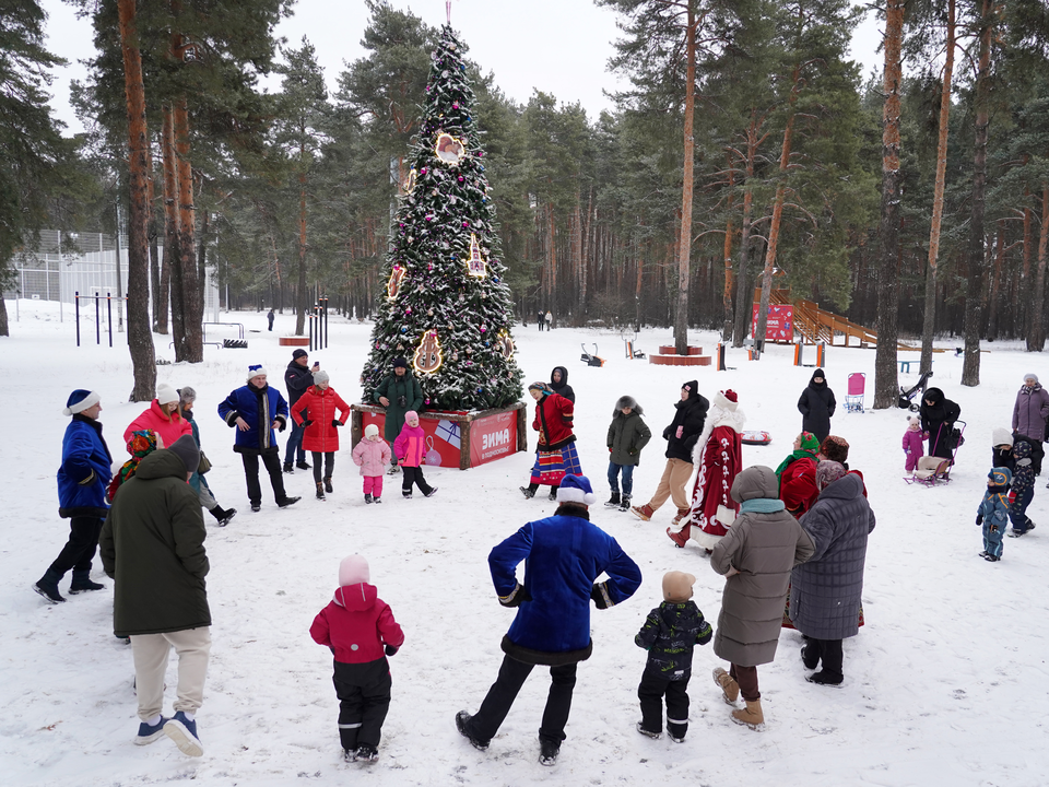 Каток, лыжная трасса и тюбинговые горки будут работать в Кузьминском лесопарке этой зимой