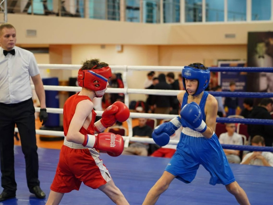 Сто медалей без одной: подмосковные боксеры собрали рекордный урожай наград на соревнованиях в Одинцове
