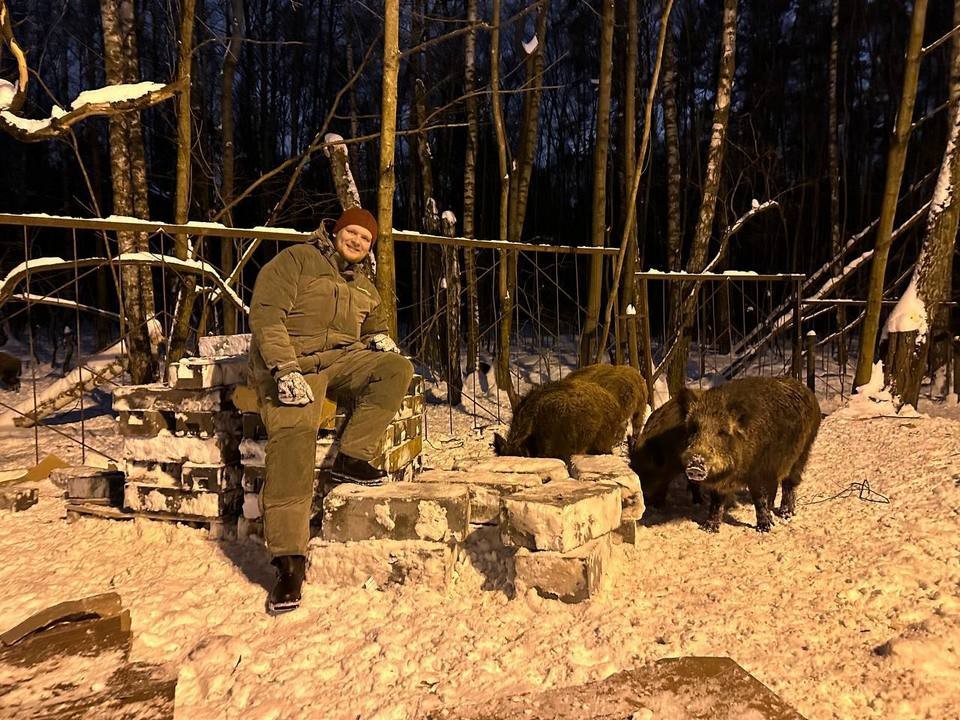 Экологи Мытищ поделились опытом борьбы с выходом кабанов в город
