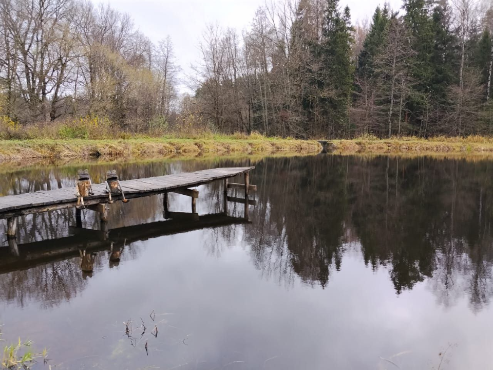 Необычные пни-ждуны встречают посетителей леса под Егорьевском