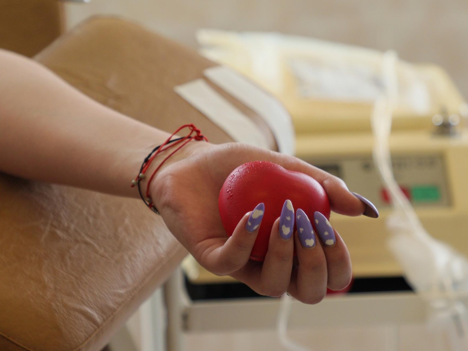 В Раменском наградили доноров: кто получил звание «Почетный донор России» и какие выплаты положены