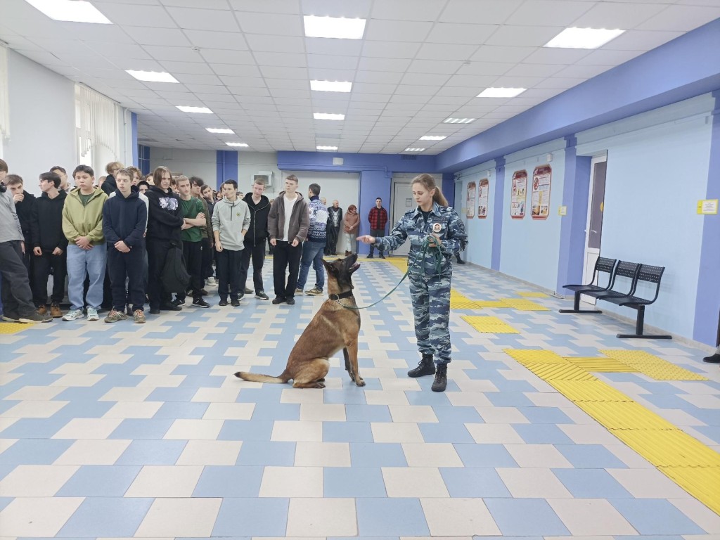 К тебе, Мухтар: какие навыки и умения показали служебные собаки студентам из Мытищ