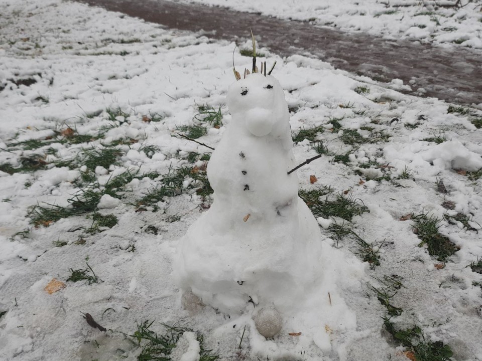 Жители Балашихи делятся фотографиями первых снеговиков