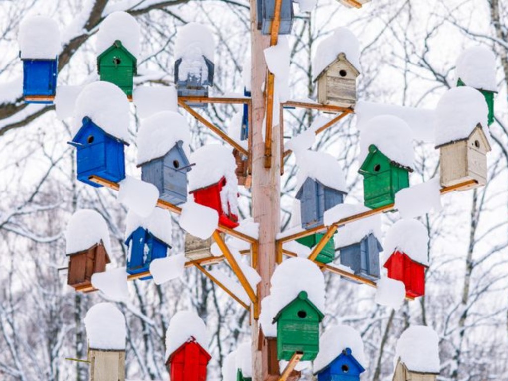Вильфанд: зима в Подмосковье будет рекордно теплой и короткой — такого еще не было