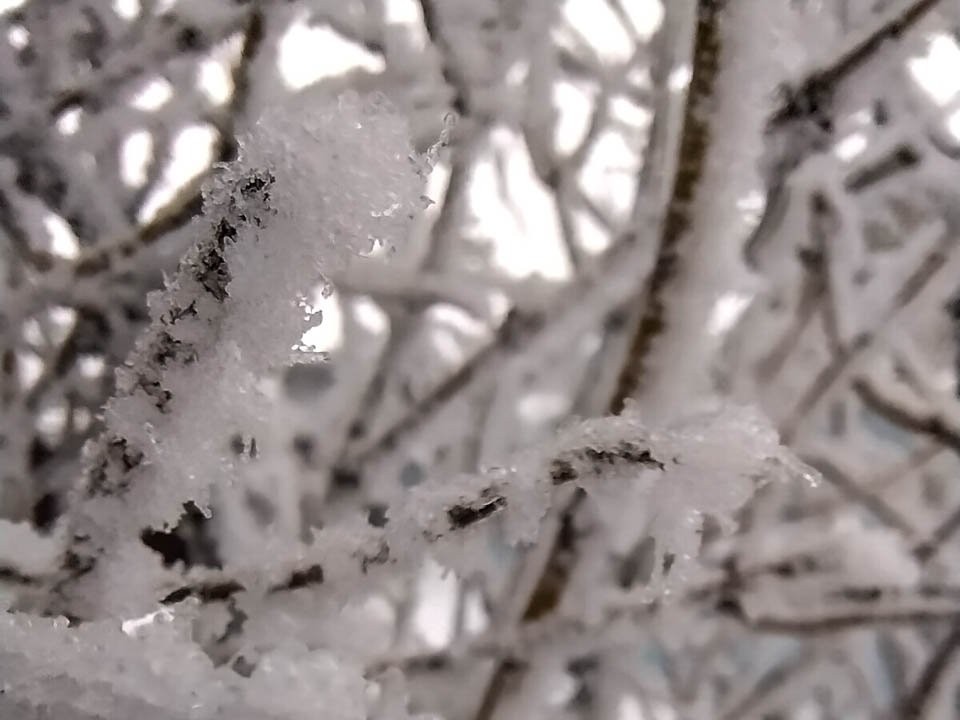 От +10 до минуса: синоптики раскрыли детали погодной аномалии в Подмосковье
