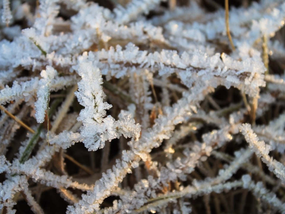 Морозец и гололедица: какой будет погода в столичном регионе в ближайшие выходные