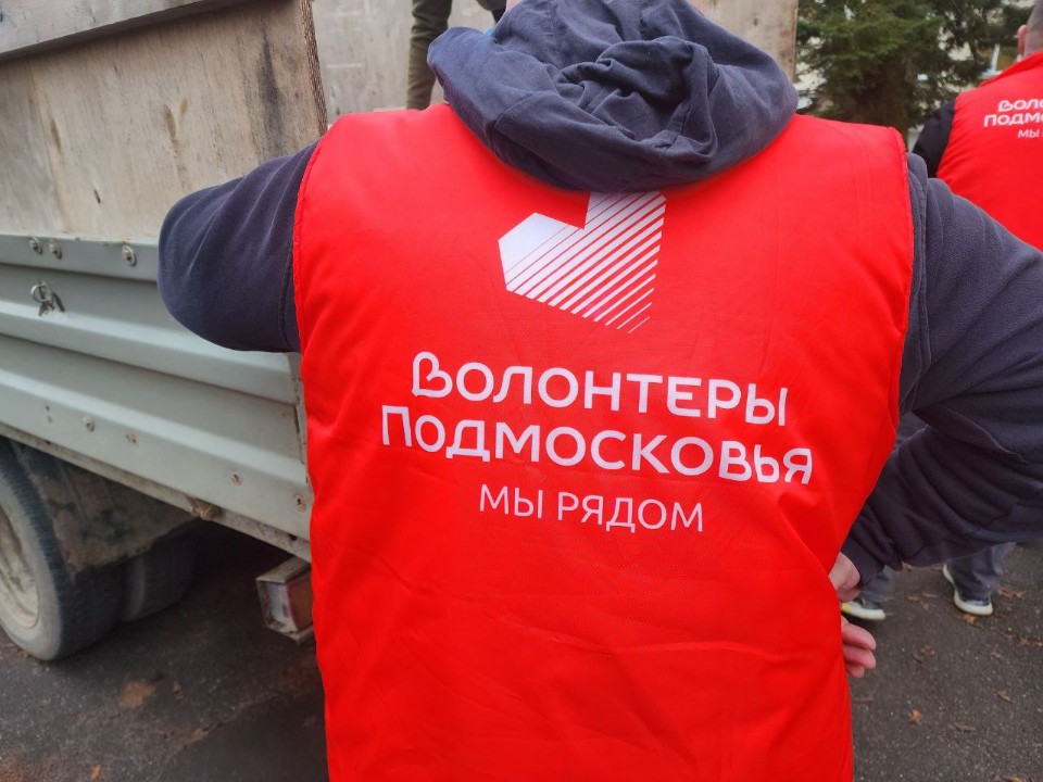 Волонтеры Лотошина расчистили двор местной жительницы от сухостоя и мусора