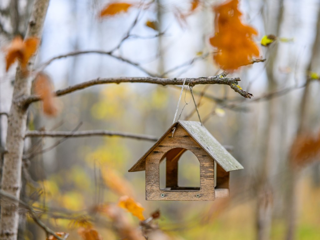 Кормушки для птиц развесят воскресенцы в сквере «Березовая роща»