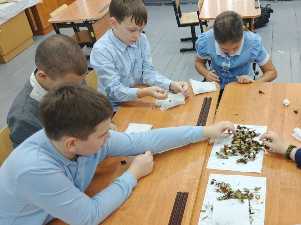 Ученики-цветоводы Мендюкинской школы готовятся вырастить в следующем сезоне пышные клумбы