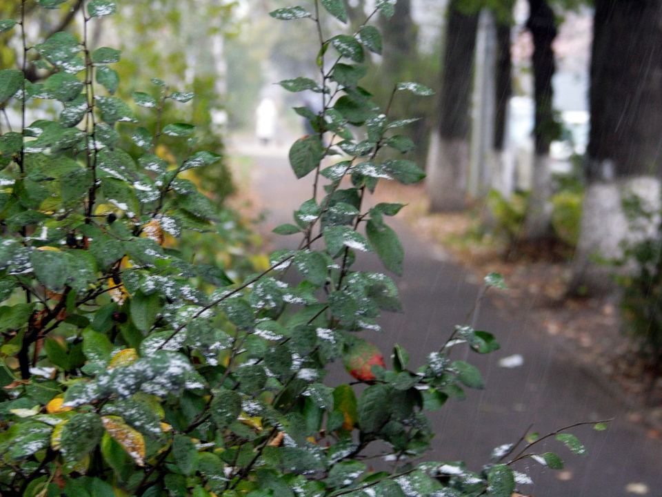 Резкое похолодание в Подмосковье: с 11 ноября температура упадет на восемь градусов