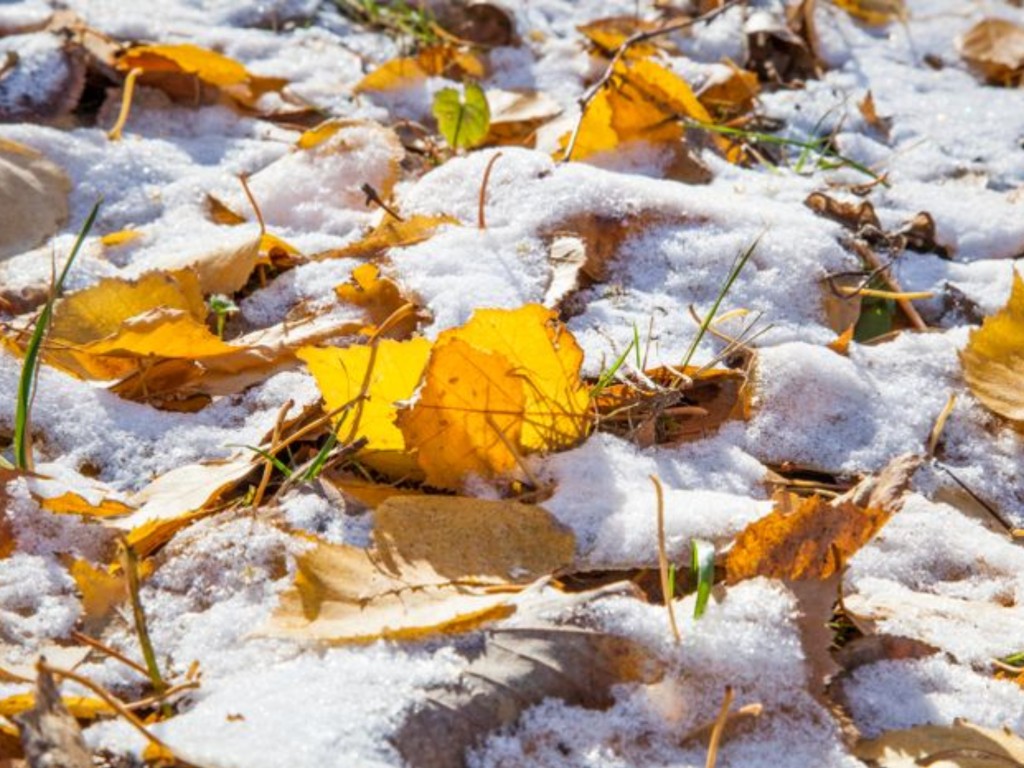Синоптик Тишковец назвал точную дату первого снега в Подмосковье