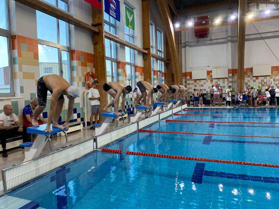 Начинающие пловцы будут соревноваться на первенстве в Шаховской 15 ноября