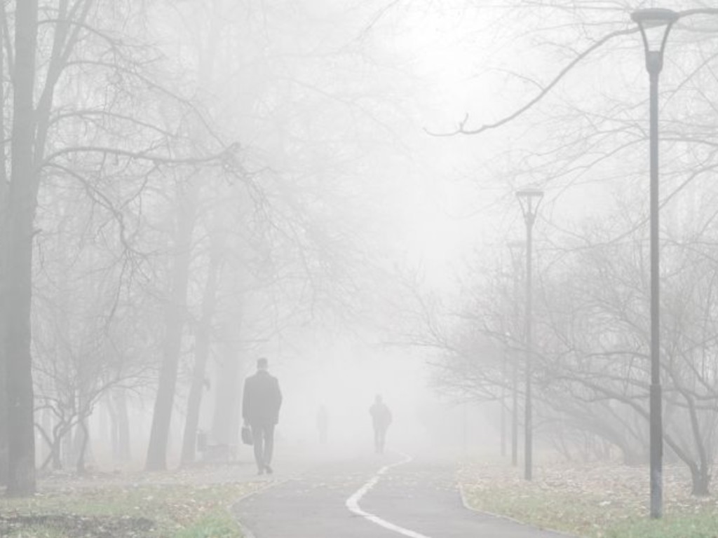 Гидрометцентр: москвичи будут добираться на работу 5 ноября в густом тумане