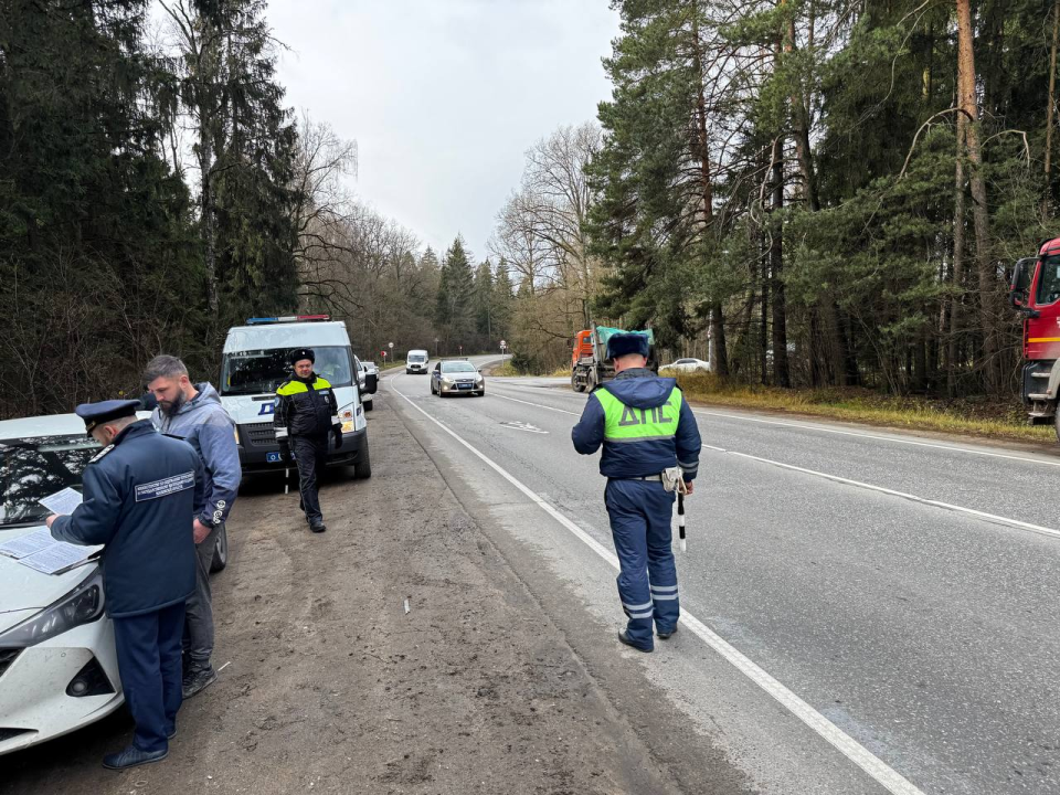 «Мусорный рейд» в Одинцовском: как эконадзор поймал перевозчиков‑нарушителей