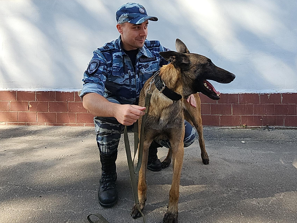 Электростальские полицейские раскрыли шесть краж и грабеж