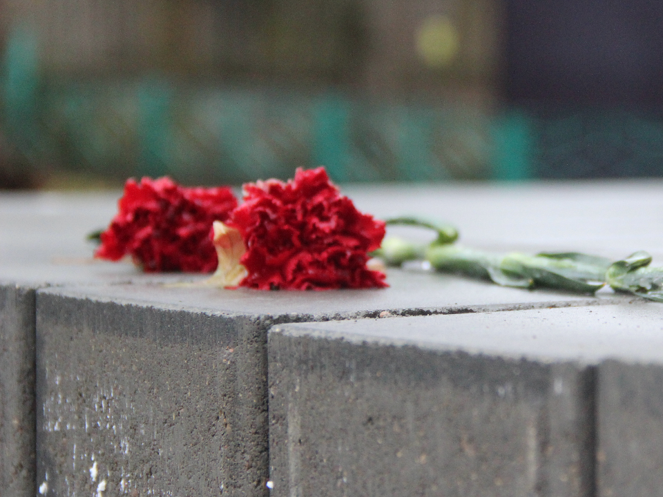 Останется в памяти: ушла из жизни руководитель Егорьевского отдела ЗАГС