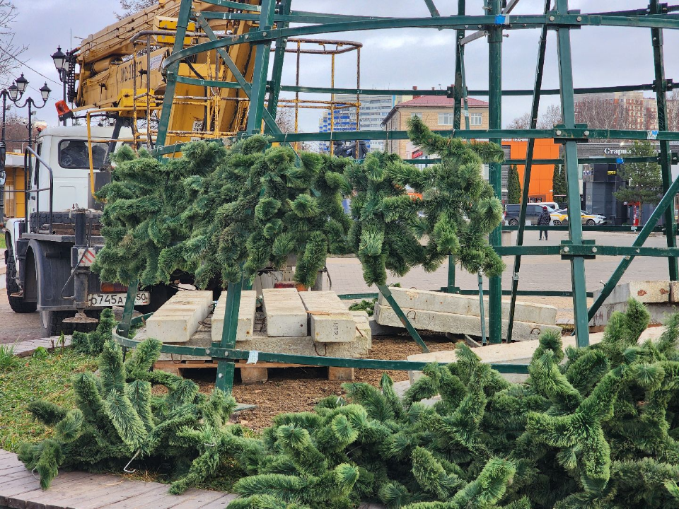 Новогодняя ель высотой 15 метров украсит бульвар Льва Толстого в праздники