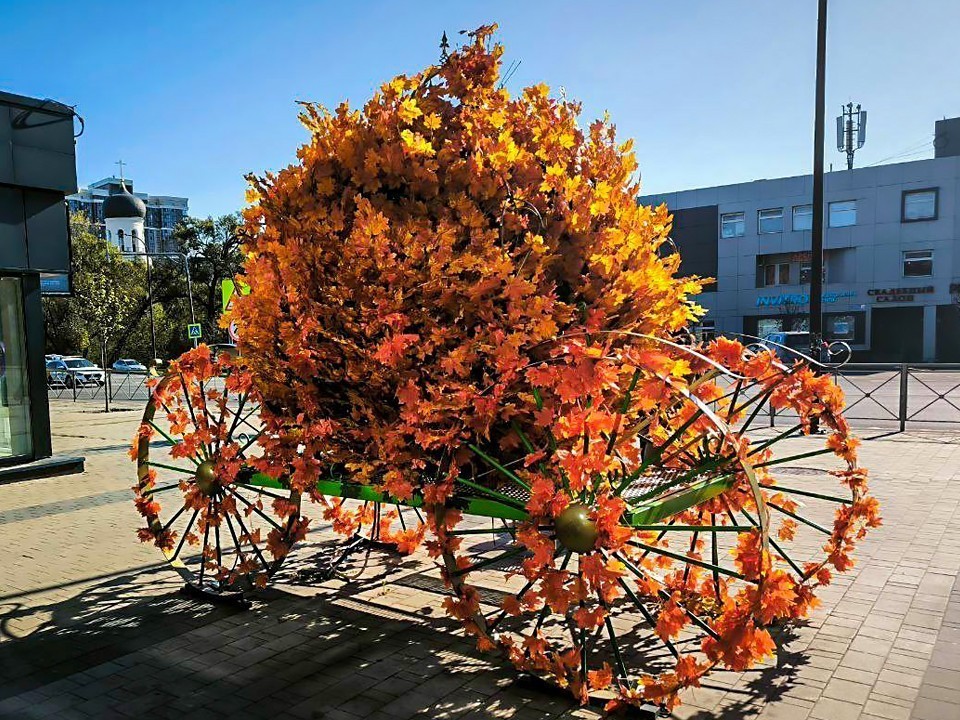 Точный гороскоп на 26 ноября 2025 для каждого знака Зодиака — что случится в среду