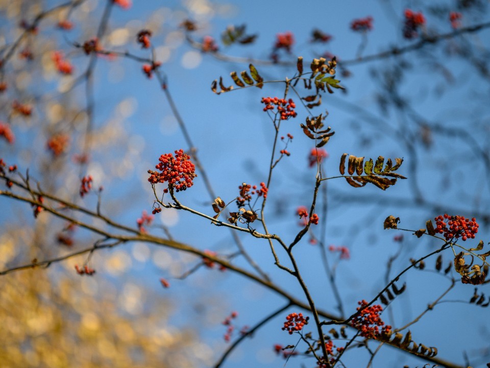 Такой короткой зимы еще не было: что ждет Подмосковье по прогнозу Гидрометцентра