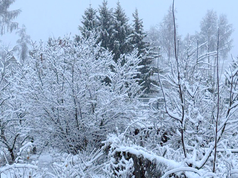 Первый снег в Сергиевом Посаде: власти округа напомнили о готовности к зимнему сезону