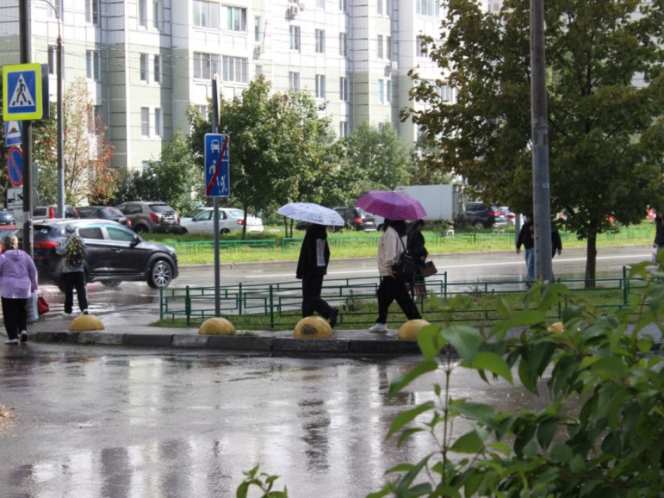 Аномальное давление, холод и дожди ударят по Подмосковью в июне
