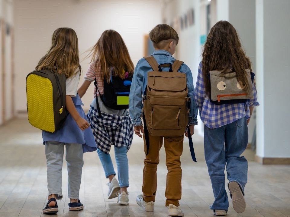 Оздоровительный лагерь вместо дома: как детям Подмосковья получить бесплатную путевку?