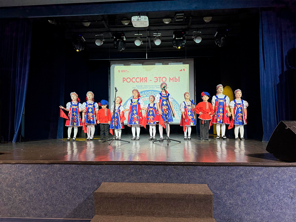 Яркий концерт и выставка: в Электростали отпраздновали День народного единства