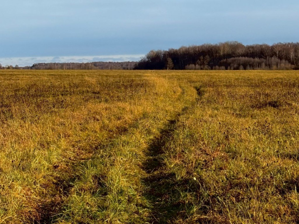 День Житницы 15 ноября: работа до ночи и тайные обряды. Что скрывается за этим старинным праздником?