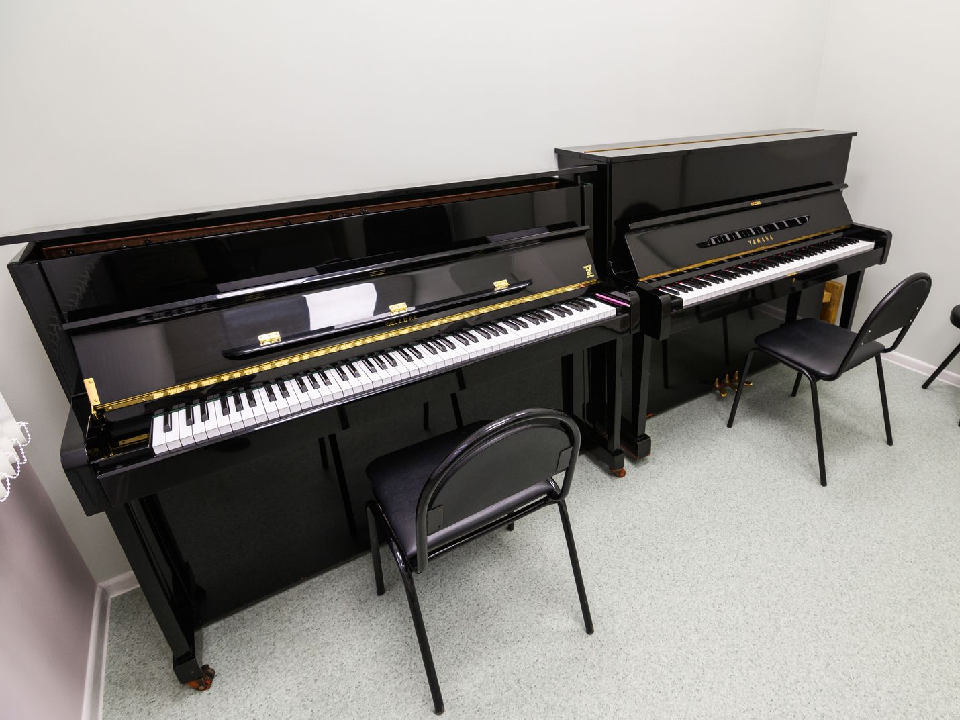 Музыканты сыграли специально для депутата Госдумы в обновленном здании школы в Дубне