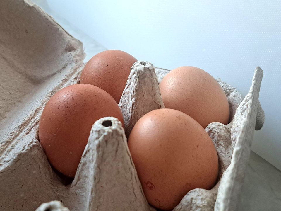 Секрет в скорлупе: какой продукт лучше всего защитит от осенних простуд