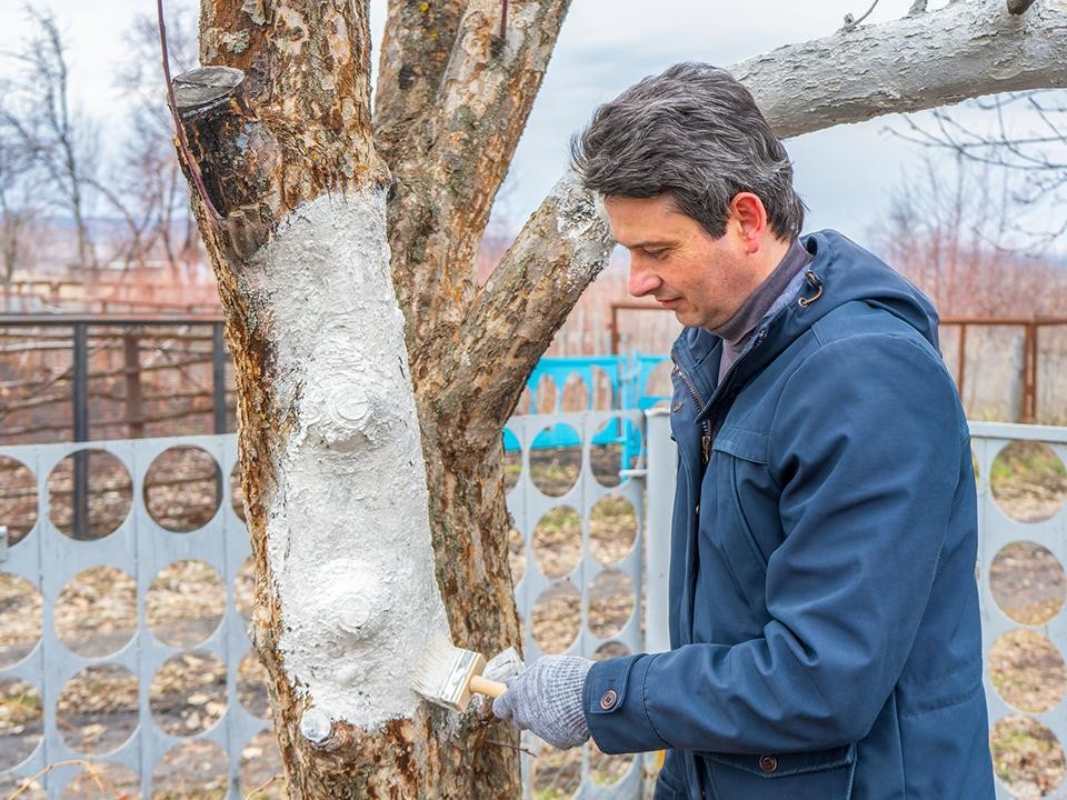 Преображается на глазах: как меняется сквер в центре Рузы