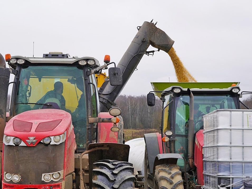 На 30% больше: ступинские аграрии завершают уборочную кампанию с рекордными показателями