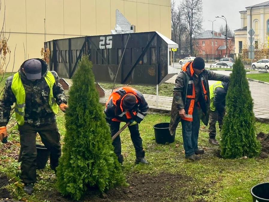 В Наро-Фоминске высадили 25 молодых туй