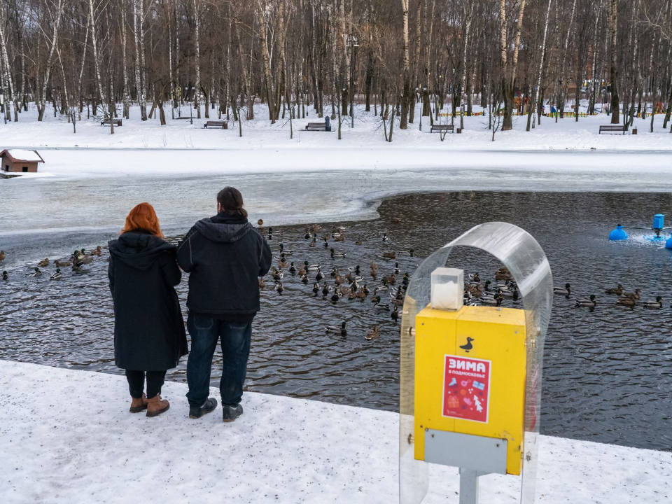 Послушать музыку, отдохнуть на свежем воздухе и научиться новому: афиша мероприятий в Красногорске на 29 ноября