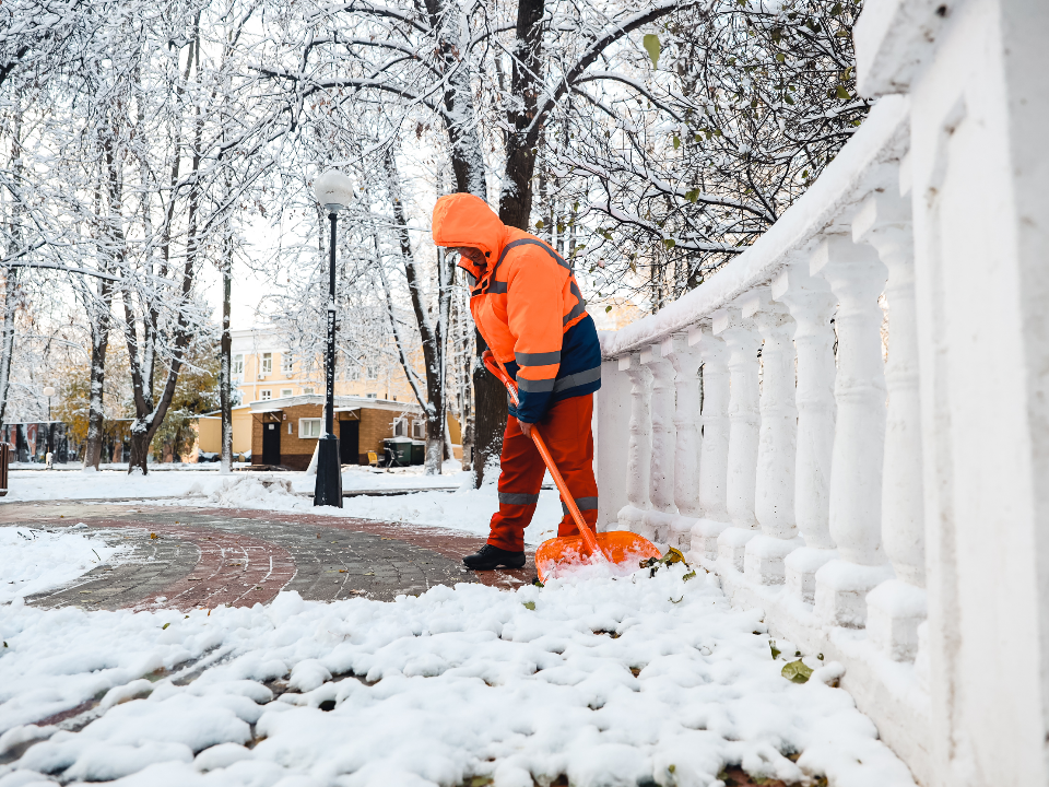 Парки Химок готовы к зиме: вся техника прошла обслуживание, штат дворников укомплектован