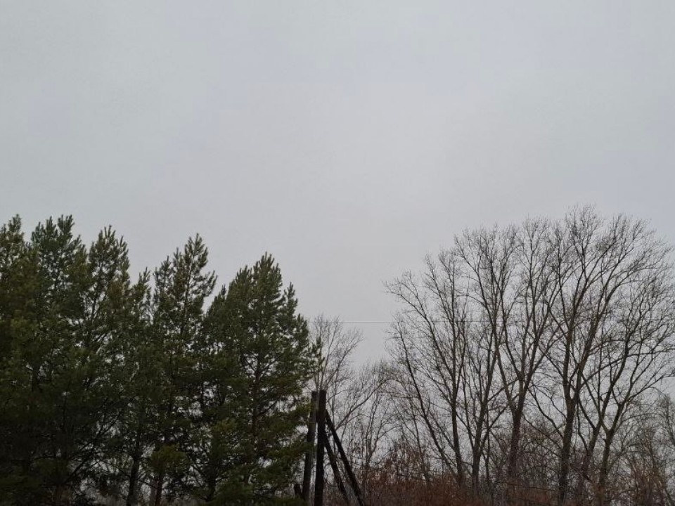 Видновчан ожидает аномально теплый конец ноября