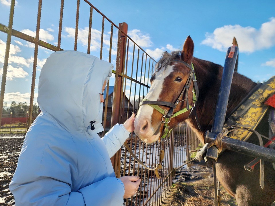 Конный клуб в Мамонтове перешел на зимний режим работы